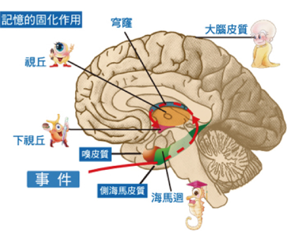 阿兹海默症的发病过程